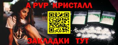 кокс Кингисепп