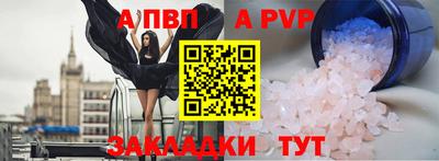 кокс Кингисепп