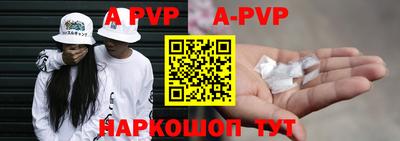 кокс Кингисепп